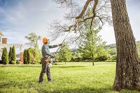 Best Aeration Services  in Florence, AL