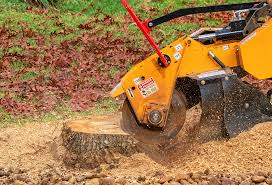 Best Lawn Watering Services  in Florence, AL